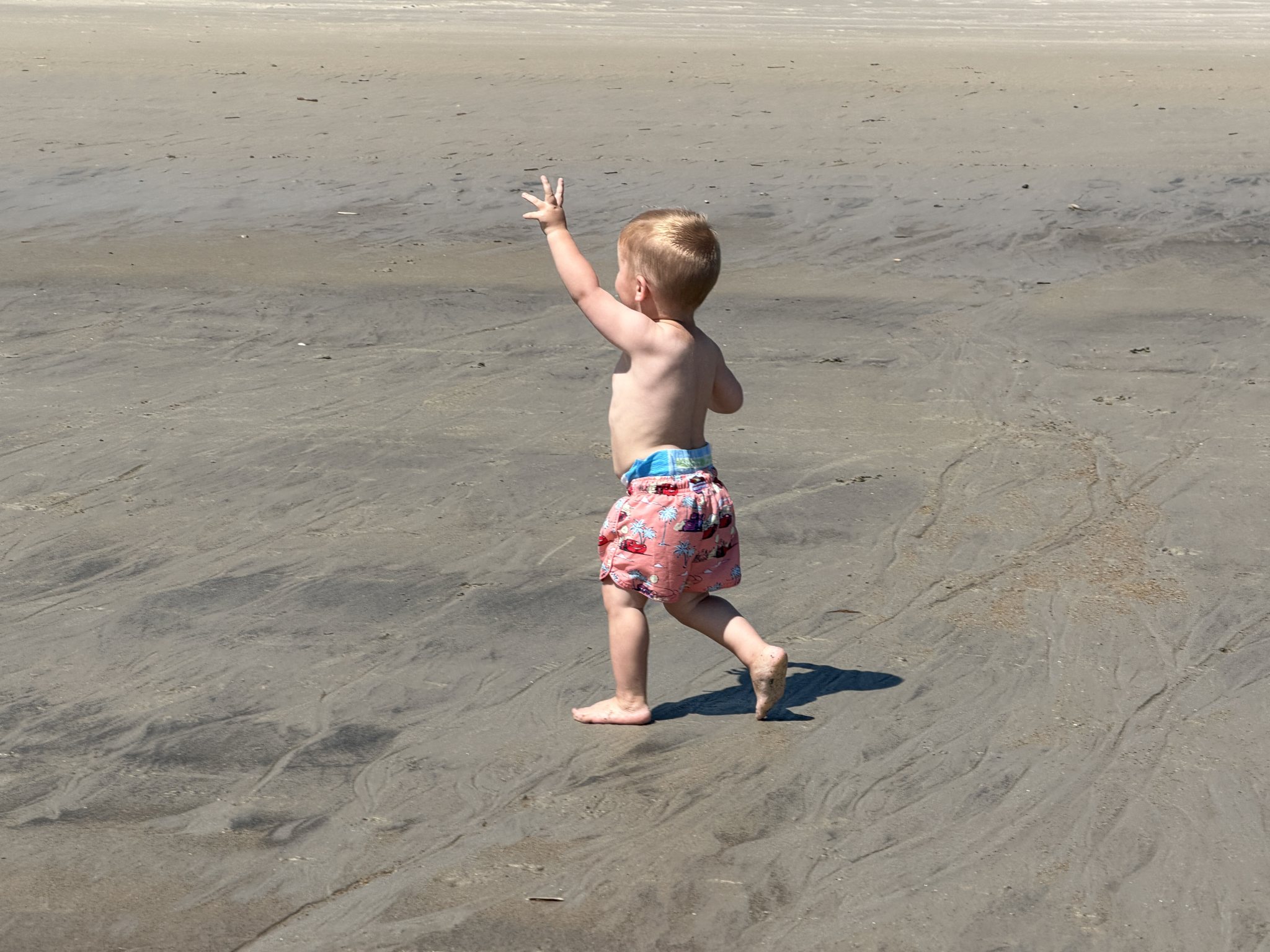 Photo from a beach day and Odin's 2nd birthday