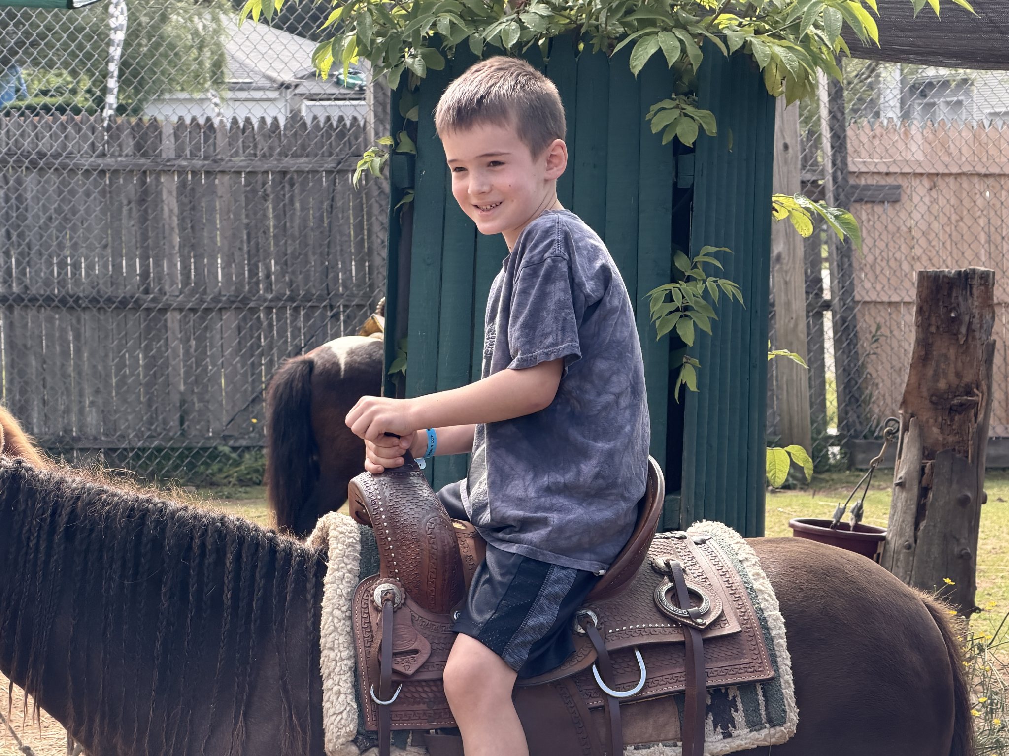 Photo from York Wild Kingdom