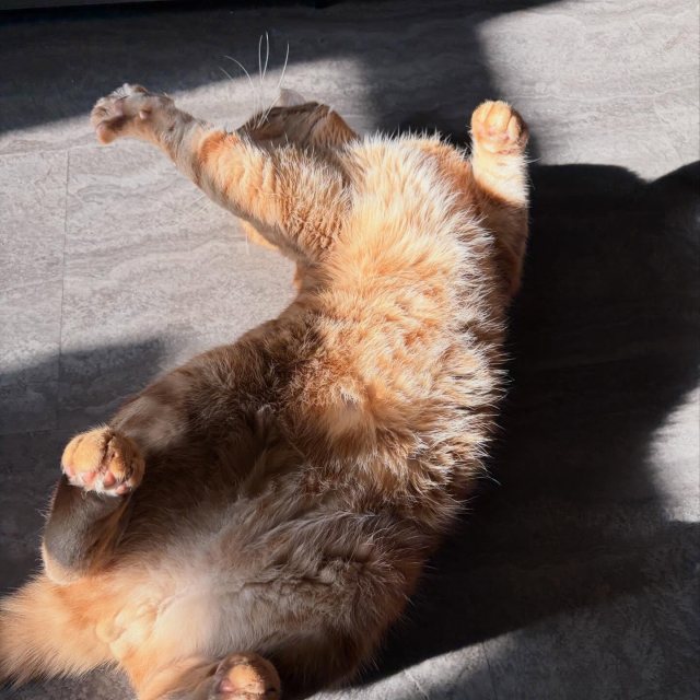 Full orange boy mode achieved