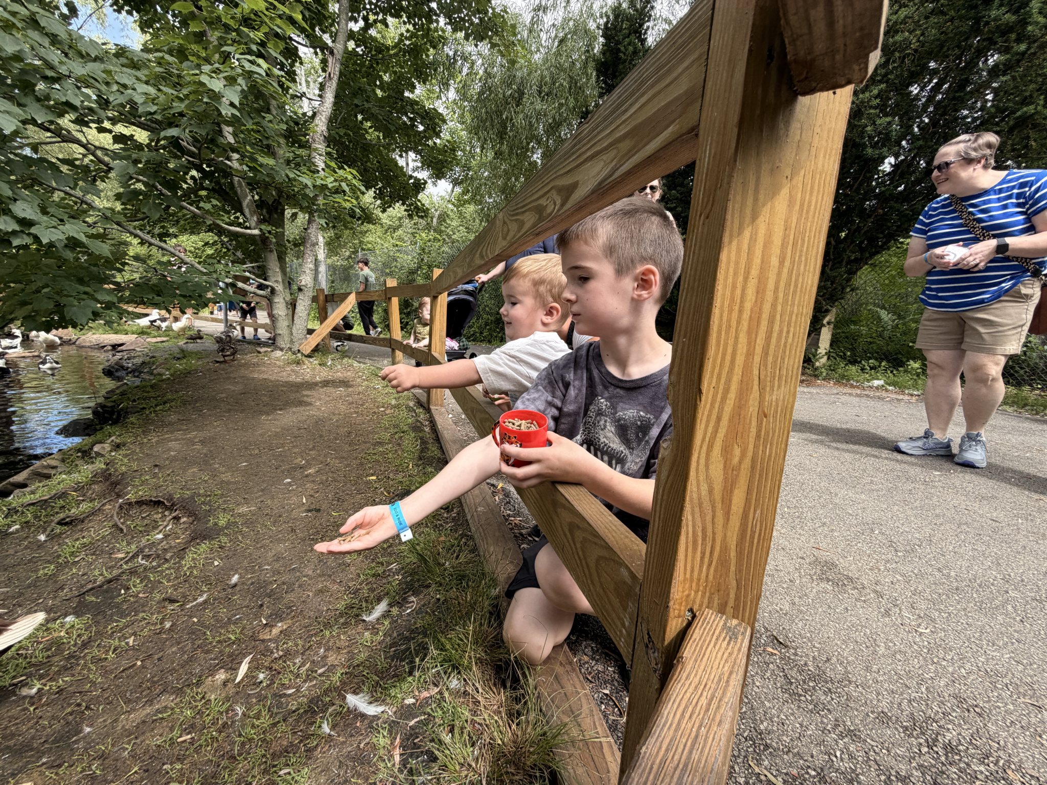 Photo from York Wild Kingdom