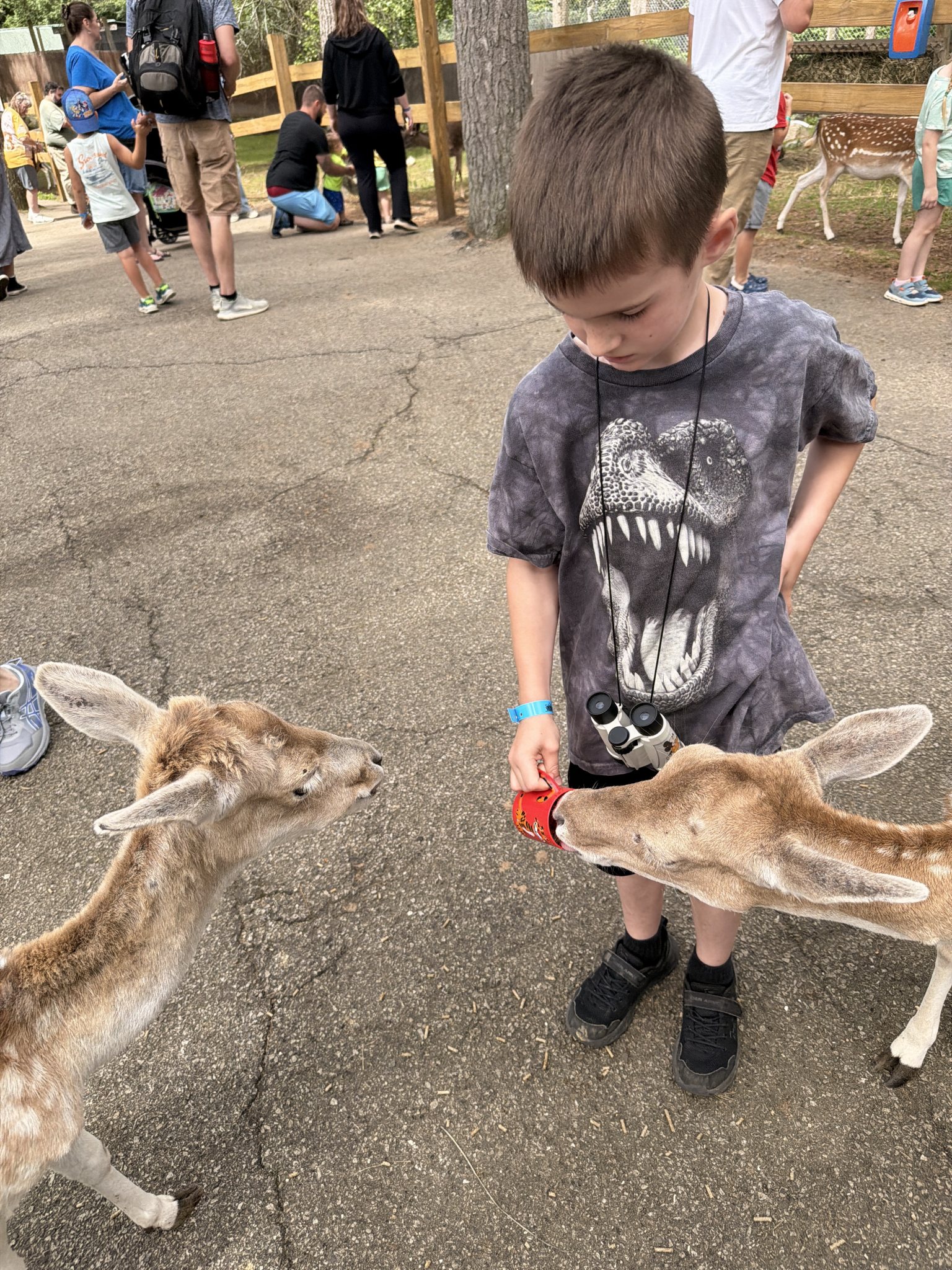 Photo from York Wild Kingdom