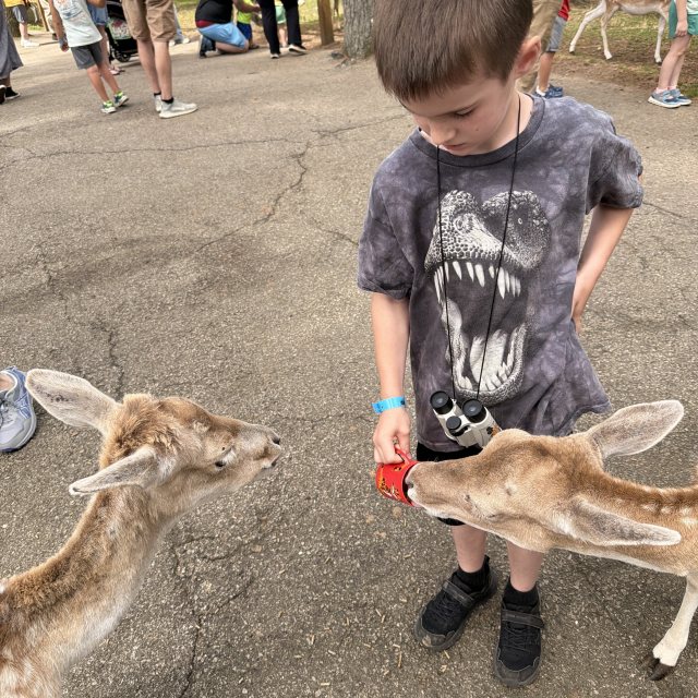 Photo from York Wild Kingdom