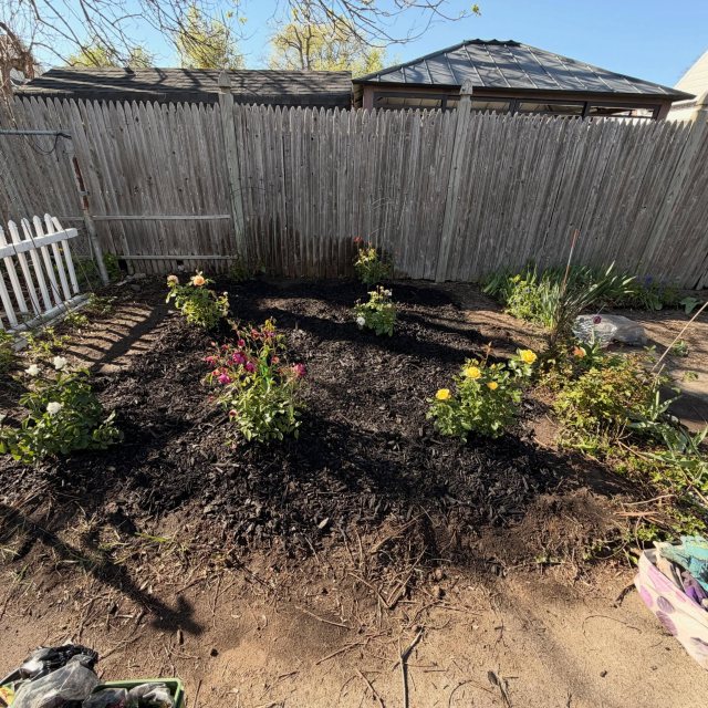 Planted a rose garden today for my dad. Miss him like crazy.