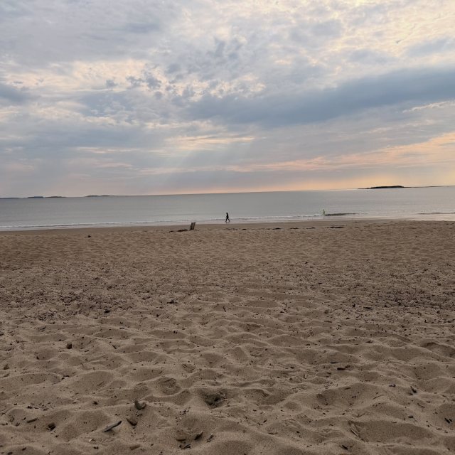 Today’s activities #dnd #maine #bayview
