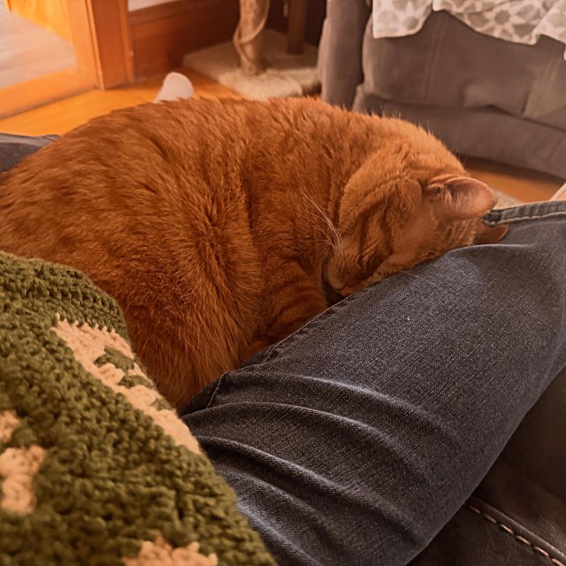 Still just cheese doodles up there… nothing more. #rigbypost