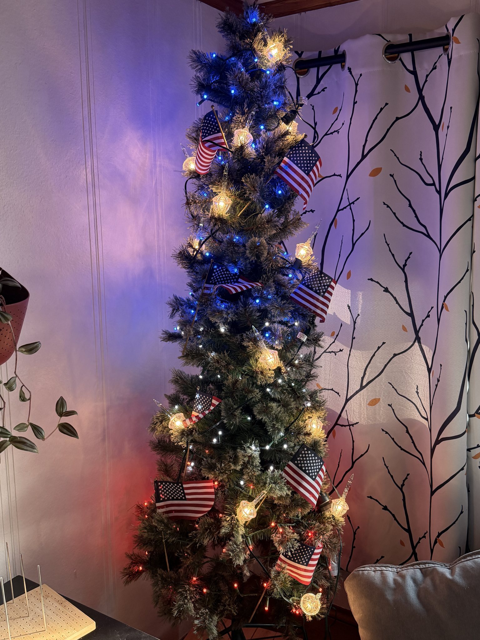 Photo from the July 4th Holiday Tree