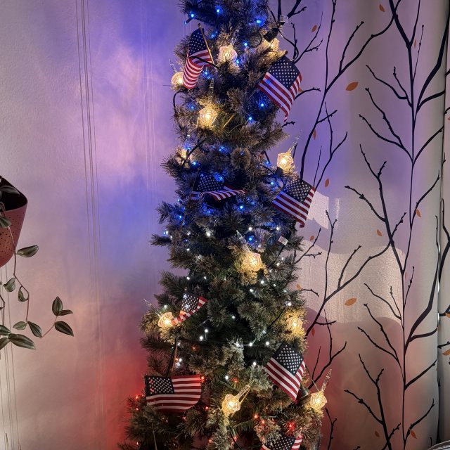 Photo from the July 4th Holiday Tree
